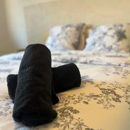 Cosy Rent Strasbourg Appartement Wifi Terrasse 외부 사진