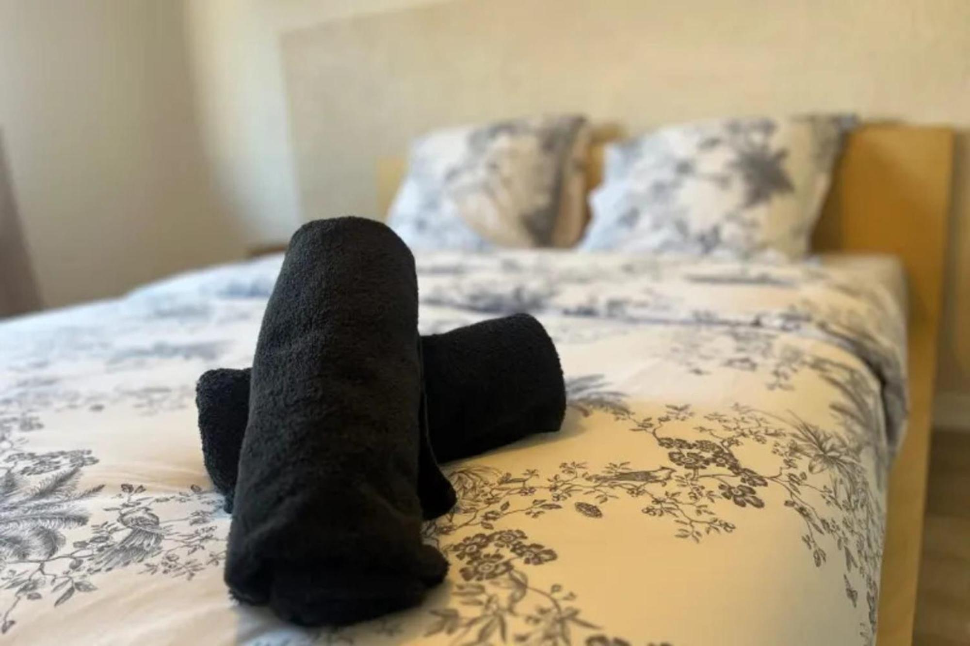 Cosy Rent Strasbourg Appartement Wifi Terrasse 외부 사진