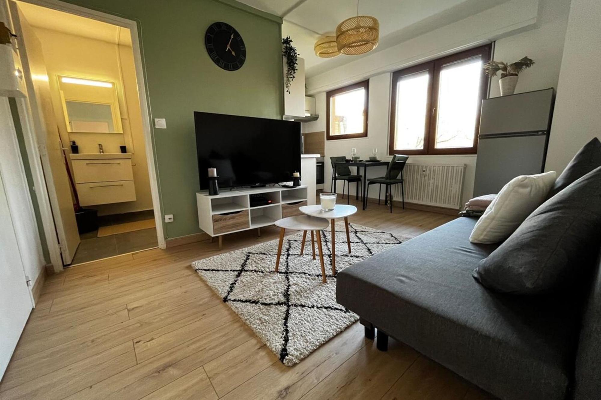 Cosy Rent Strasbourg Appartement Wifi Terrasse 외부 사진