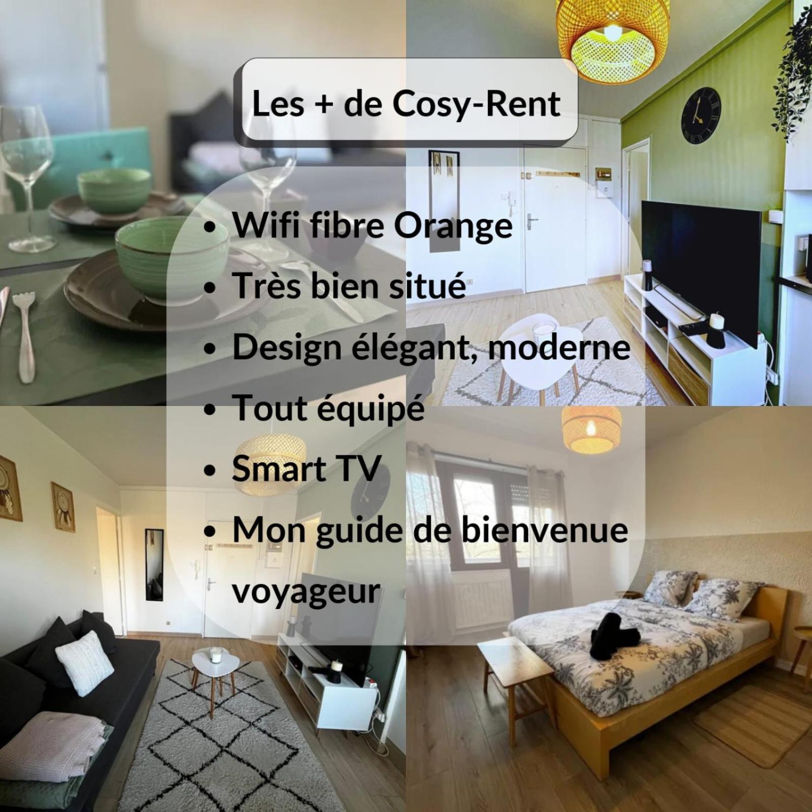 Cosy Rent Strasbourg Appartement Wifi Terrasse 외부 사진